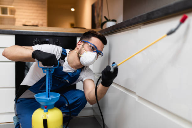 Best Wasp Removal Services  in Floris, VA