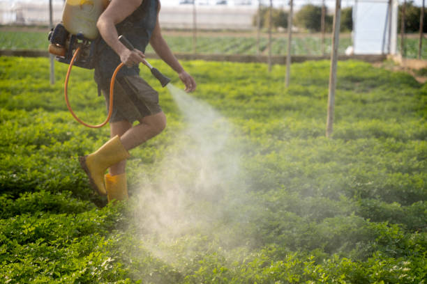 Best Pest Control for Homes  in Floris, VA