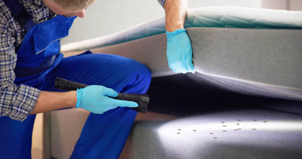 Best Pest Prevention Services  in Floris, VA