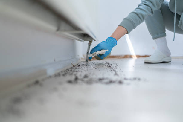 Best Exterminator Services  in Floris, VA